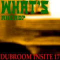 WHAT'S AHEAD? (DUBROOM IN-SITE 17)